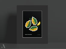 Load image into Gallery viewer, New Orleans Dishes / Small Art Prints
